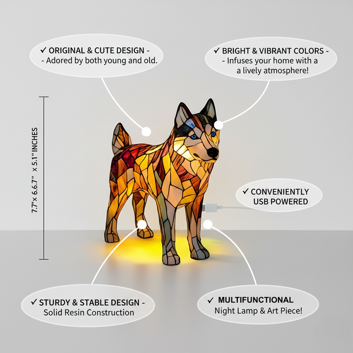 Nala Perro Encantado